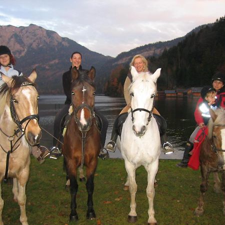 Haus Moser Altaussee Dış mekan fotoğraf