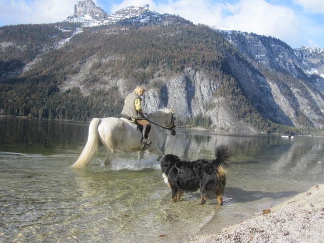 Haus Moser Altaussee Dış mekan fotoğraf